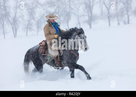 Cowgirl reiten ihr Pferd im Winter Unterschlupf Ranch, Shell, Wyoming. (MR, PR) Stockfoto