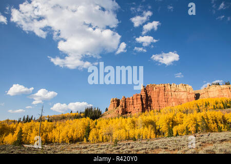 USA, Wyoming, Sublette County. Wyoming reichen, bunten Herbst espen sind rund um den Roten Felsen auf einem blauen Himmel. Stockfoto