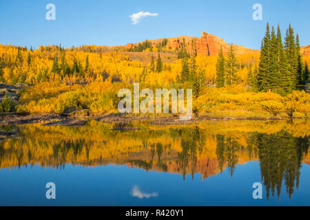 USA, Wyoming, Sublette County. Die roten Felsen im Wyoming Bereich Bergen ist zusammen mit bunten Herbst Espen und Evergreens wider. Stockfoto