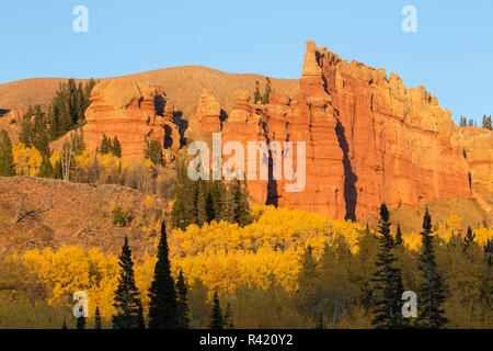 USA, Wyoming, Sublette County. Wyoming reichen, bunten Herbst espen sind rund um den Roten Felsen auf einem blauen Himmel. Stockfoto