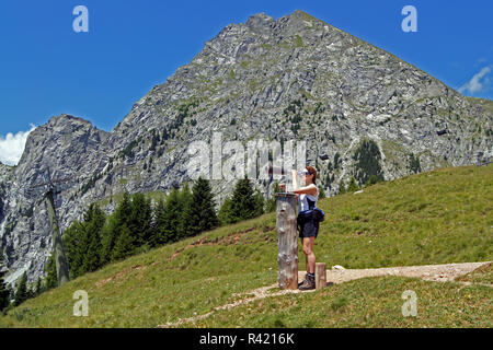 Ausblick bei einer Wanderung mit Blick auf den Gipfel des Ifinger, Südtirol Stockfoto