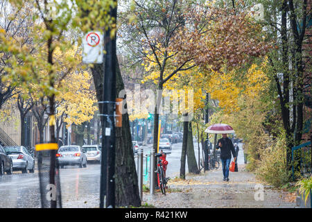 MONTREAL, KANADA - 3. NOVEMBER 2018: Der Mann, der zu Fuß mit einem Regenschirm während eines regnerischen Herbst am Nachmittag in einer Straße von Le Plateau, eine Wohngegend von distrct Stockfoto