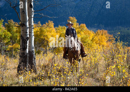 USA, Wyoming, Shell, das Versteck Ranch, cowgirl Reiten durch den Espen (MR, PR) Stockfoto