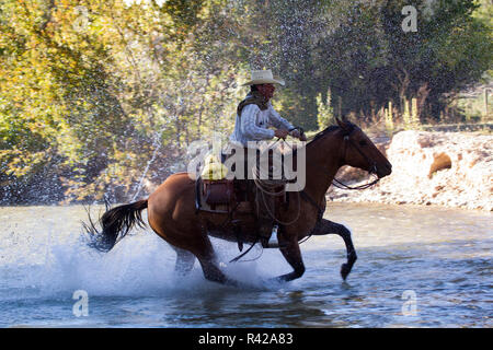 Usa, Wyoming, Shell, das Versteck Ranch, Cowboy Reiten über den Fluss (MR, PR) Stockfoto
