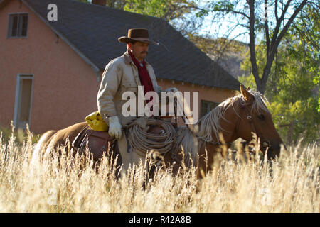 Usa, Wyoming, Shell, das Versteck Ranch, Cowboy Reiten durch den Weizen (MR, PR) Stockfoto