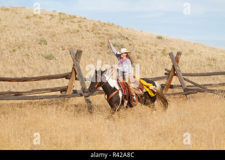 Usa, Wyoming, Shell, das Versteck Ranch, cowgirl Reiten durch den Weizen mit Lasso (MR, PR) Stockfoto