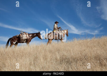 Usa, Wyoming, Shell, das Versteck Ranch, Cowboy zu Pferd mit Pack Horse (MR, PR) Stockfoto