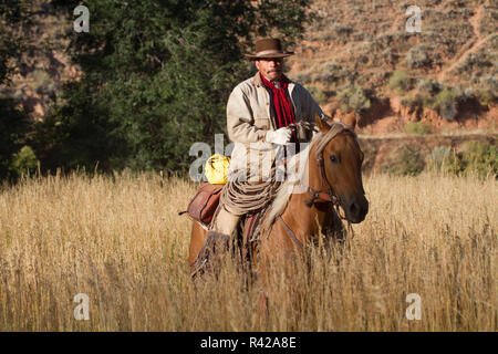 Usa, Wyoming, Shell, das Versteck Ranch, Cowboy Reiten durch den Weizen (MR, PR) Stockfoto