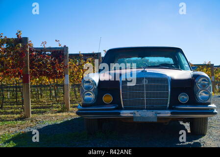 Ein altes Auto vor orangen und roten Weinbergen. Das Auto ist ein blauer Mercedes. Der Himmel ist wolkenlos blau hinter dem Auto. Stockfoto