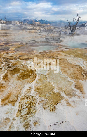 Travertin mineralischer Terrassen, Mammoth Hot Springs, Yellowstone National Park. Stockfoto