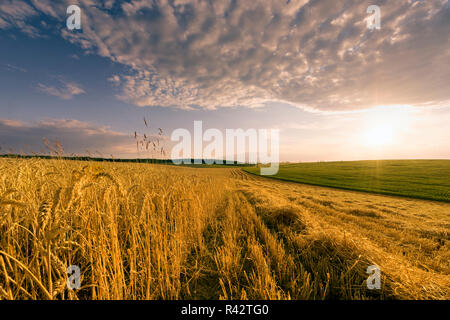 Ende des Tages über Feld mit Stroh Stockfoto