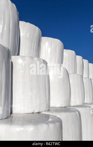 Gestapelten weißen Silageballen vor blauem Himmel Stockfoto