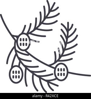 Fir Tree Branch mit Kegeln Symbol Leitung Konzept. Fir Tree Branch mit Kegeln Vector Linear Abbildung, Symbol, Zeichen Stock Vektor