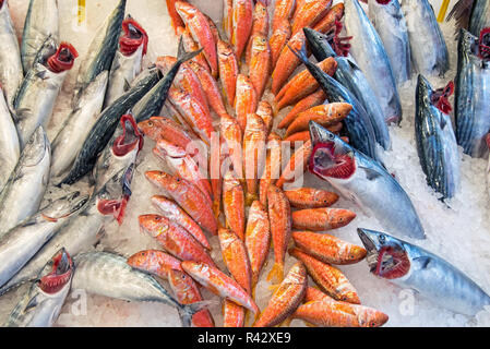 Frischer Fisch Angebot auf einem Markt in Istanbul Stockfoto