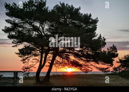 Sonnenaufgang und Sonnenuntergang Stockfoto