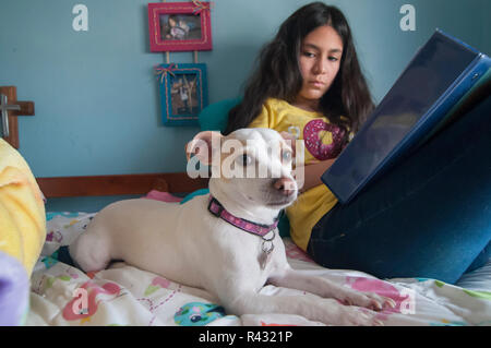 Haustiere in der Wohnung wie ein Familienmitglied, ein Teenager ist Hausaufgaben auf dem Bett und ihr Hund ist neben ihr, machen einige Unternehmen Stockfoto