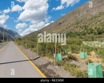 Cajon del Maipo. Maipo Canyon. Straße, verläuft durch das Cajon del Maipo in der Provinz von Chile, Chile Stockfoto