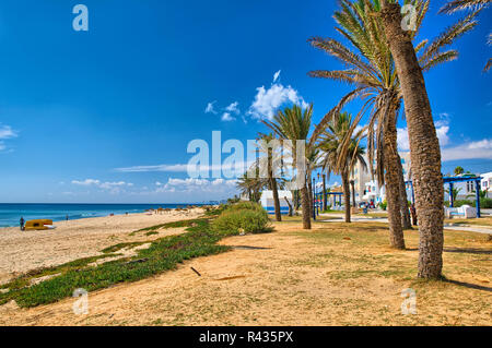 Dattelpalmen auf Sunny Beach, Hammamet, Tunesien, Mittelmeer Stockfoto