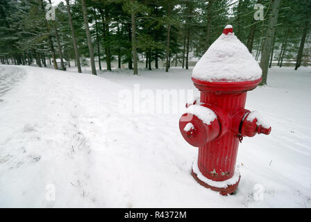 Eine helle rote Hydrant im Schnee in North Park, Pittsburgh, Pennsylvania. Stockfoto