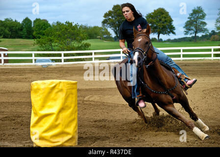 Eine Frau führt Sie Quarter Horse Um den Zylinder auf der NH-HA (Nordallegheny Reiter's Association) Penn-Ohio sanktionierten Wettbewerb auf Septemb Stockfoto