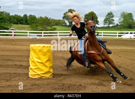 Eine Frau führt Sie Quarter Horse Um den Zylinder auf der NH-HA (Nordallegheny Reiter's Association) Penn-Ohio sanktionierten Wettbewerb auf Septemb Stockfoto