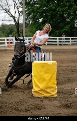 Eine Frau führt Sie Quarter Horse Um den Zylinder auf der NH-HA (Nordallegheny Reiter's Association) Penn-Ohio sanktionierten Wettbewerb auf Septemb Stockfoto