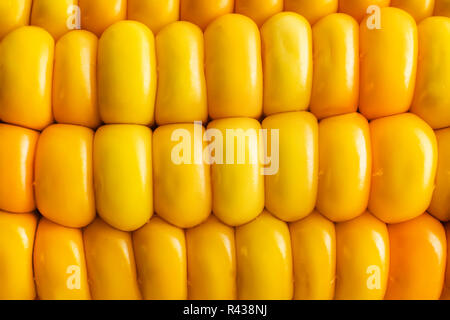 Zeilen von Zuckermais Körner Hintergrund. Nahaufnahme des Gelben saftigen Mais Ohr. Glasstrahlperlen Textur. Flüchtig von Mais Getreide. Maisernte. Stockfoto