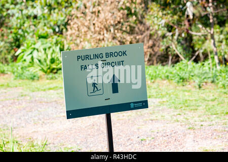Direktionale Zeichen für Purling Bach fällt in den Springbrook National Park, Queensland, Australien Stockfoto
