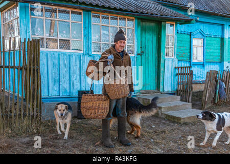 Alte Hunde, die im Hintergrund von einem Haus im Dorf. Russland. Region Kaluga. Peremishl' Stockfoto