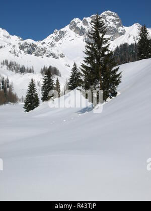 Verschneite wiesen Der unterhofalm Stockfoto