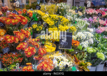 Auswahl der Blumen vor einem Blumenladen Stockfoto