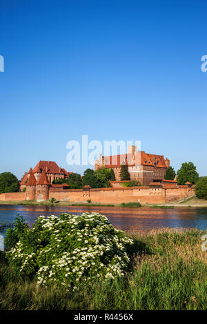 Malbork in Polen, Aussicht über den Fluss Fluß Nogat, Reihenfolge der Ritter Teutonic mittelalterliche Festung, aus dem 13. Jahrhundert. Stockfoto