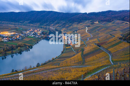 Mosel und Weinbergen und Piesport Dorf im goldenen Herbst in der Dämmerung Stockfoto