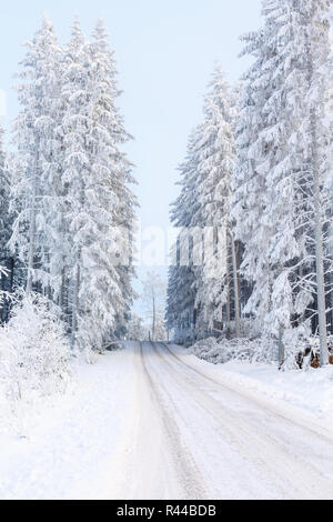 Winterlandschaft mit einem Feldweg in einem Nadelwald Stockfoto