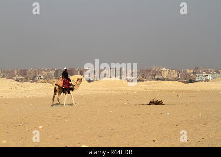 Camel Rider in der Sahara Stockfoto