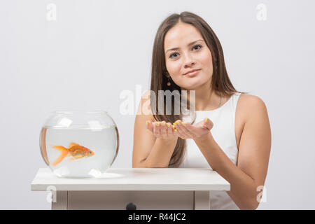 Sie bittet, den Wunsch, ein Goldfisch in einem Aquarium zu erfüllen Stockfoto