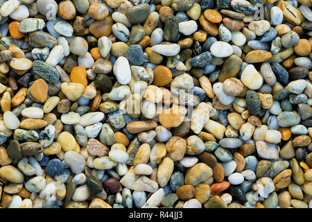 Kies Textur. Kleine Steine, kleine Steine, Kieselsteine in vielen Schattierungen von Grau, Weiß, Braun, Blau, Farbe gelb. Hintergrund Der kleine nasse Steine in Oval Stockfoto