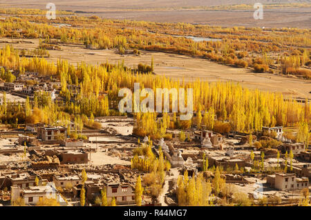 Leh-Dorf-Landschaft im nördlichen Indien Stockfoto