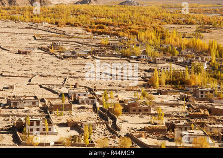 Leh mit Stadtblick im nördlichen Indien Stockfoto