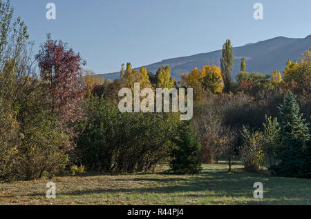 Farbenprächtige Herbstlandschaft der herbstlichen Wald mit Glade in der South Park, Sofia, Bulgarien Stockfoto