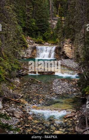 Ein Wasserfall in der Johnson Canyon, Alberta Stockfoto