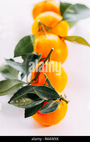 Fünf Mandarinen mit Grün auf weißem Hintergrund. Orange frische Mandarine auf weißem Hintergrund Reif. Stockfoto