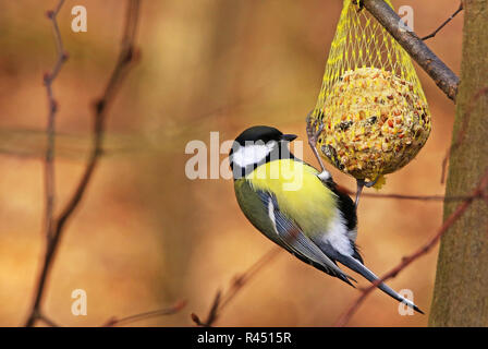 Stockfoto