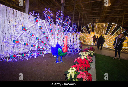 Toronto, Kanada. 24 Nov, 2018. Besucher sehen bunte Lichter während des ersten Tages des Weihnachten Leuchten 2018 in Barrie, Ontario, Kanada, November 24, 2018. Empfohlene beleuchtete Skulpturen aus China, Frankreich, Holland, Indien, Mexiko, Großbritannien und Kanada, der grössten Indoor Familie des Ontario - themenbezogene Weihnachten Festival Off am Samstag trat. Das Festival wird bis zum 6. Januar nächsten Jahres. Credit: Zou Zheng/Xinhua/Alamy leben Nachrichten Stockfoto