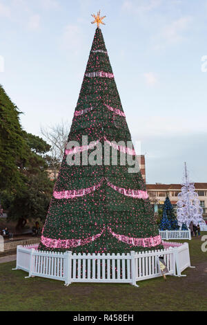 Bournemouth, Dorset, Großbritannien. 25. Nov 2018. Bournemouth Weihnachtsbaum Wunderland mit mehr als 100 glitzernden Bäume und Beleuchtung. Einige der Bäume sind thematisch in sechs Städten rund um die Welt zu repräsentieren - das ist die Warschauer Baum mit Seattle Baum in der Ferne im unteren Gärten. Besucher können den Spuren folgen. Stockfoto