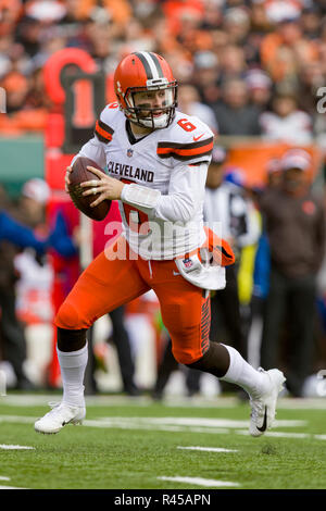 Cincinnati, OH, USA. November 25th, 2018: Cincinnati Bengals Quarterback Jeff Driskel (6) kriecht auf der Suche nach einem Receiver in einem Spiel zwischen den Cleveland Browns und die Cincinnati Bengals am November 25, 2018 Paul Brown Stadium in Cincinnati, OH. Adam Lacy/CSM. Credit: Cal Sport Media/Alamy leben Nachrichten Stockfoto