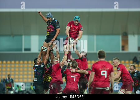 Parma, Italien. 25. November 2018. Von Munster lock Darren O'Shea nimmt den Ball in der Note im Spiel gegen Zebre Rugby Club © Massimiliano Carnabuci/Alamy leben Nachrichten Stockfoto