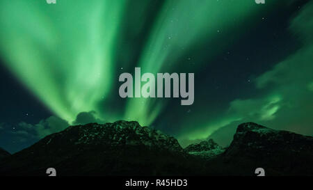 Olympus Digitalkamera Stockfoto