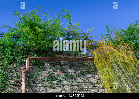 Dachrinne an Wand Stockfoto