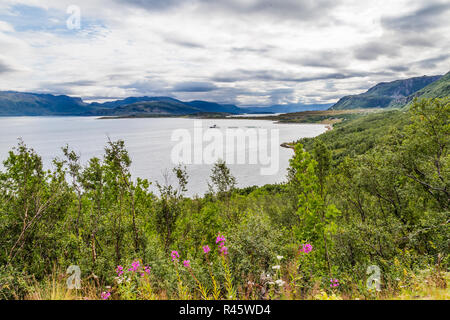 Landschaft Coast Road A6 im Norden von Norwegen Stockfoto